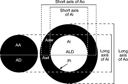 Fig. 1—